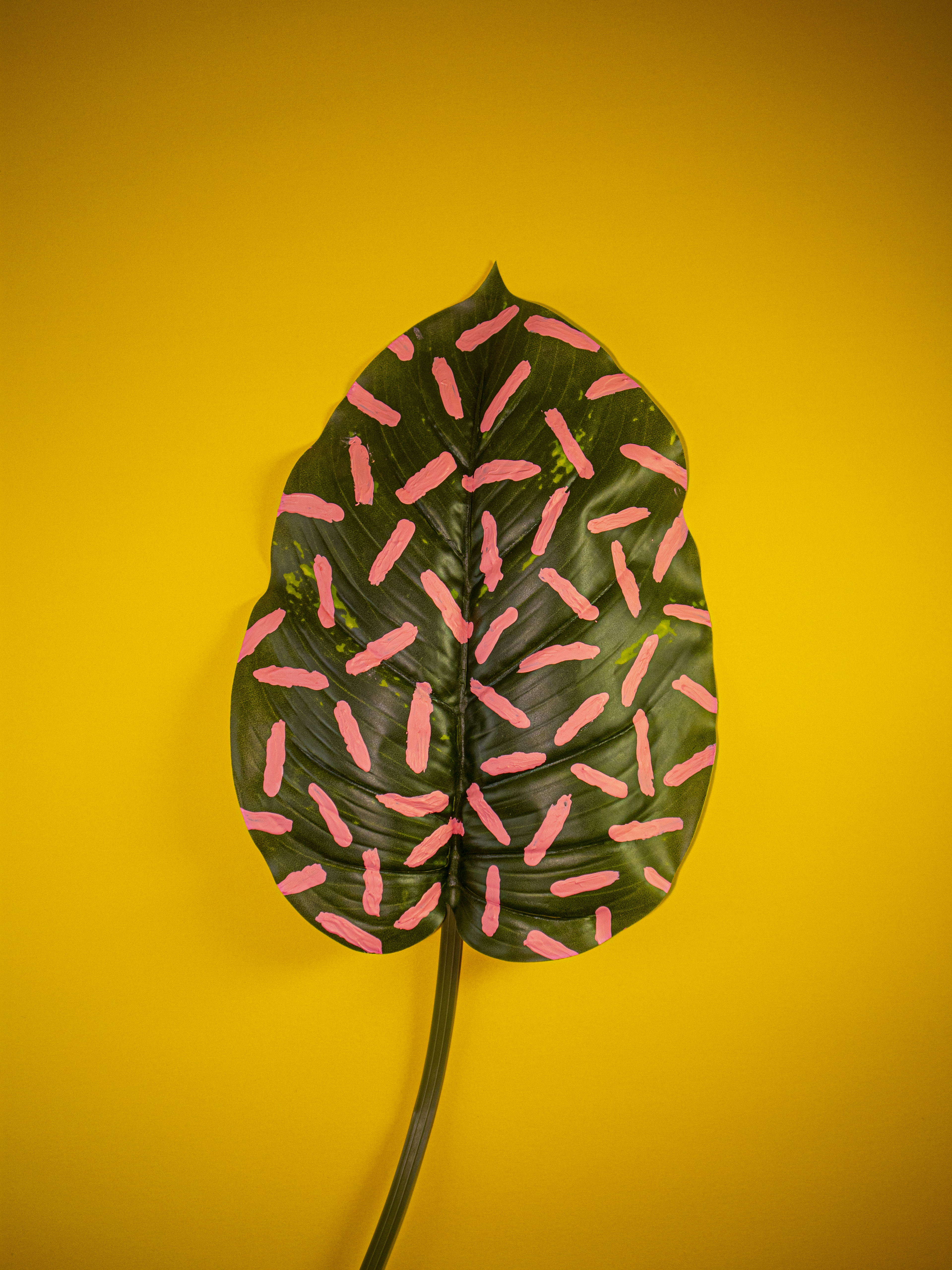 green leaf with pink lines of paint on leaf with yellow background